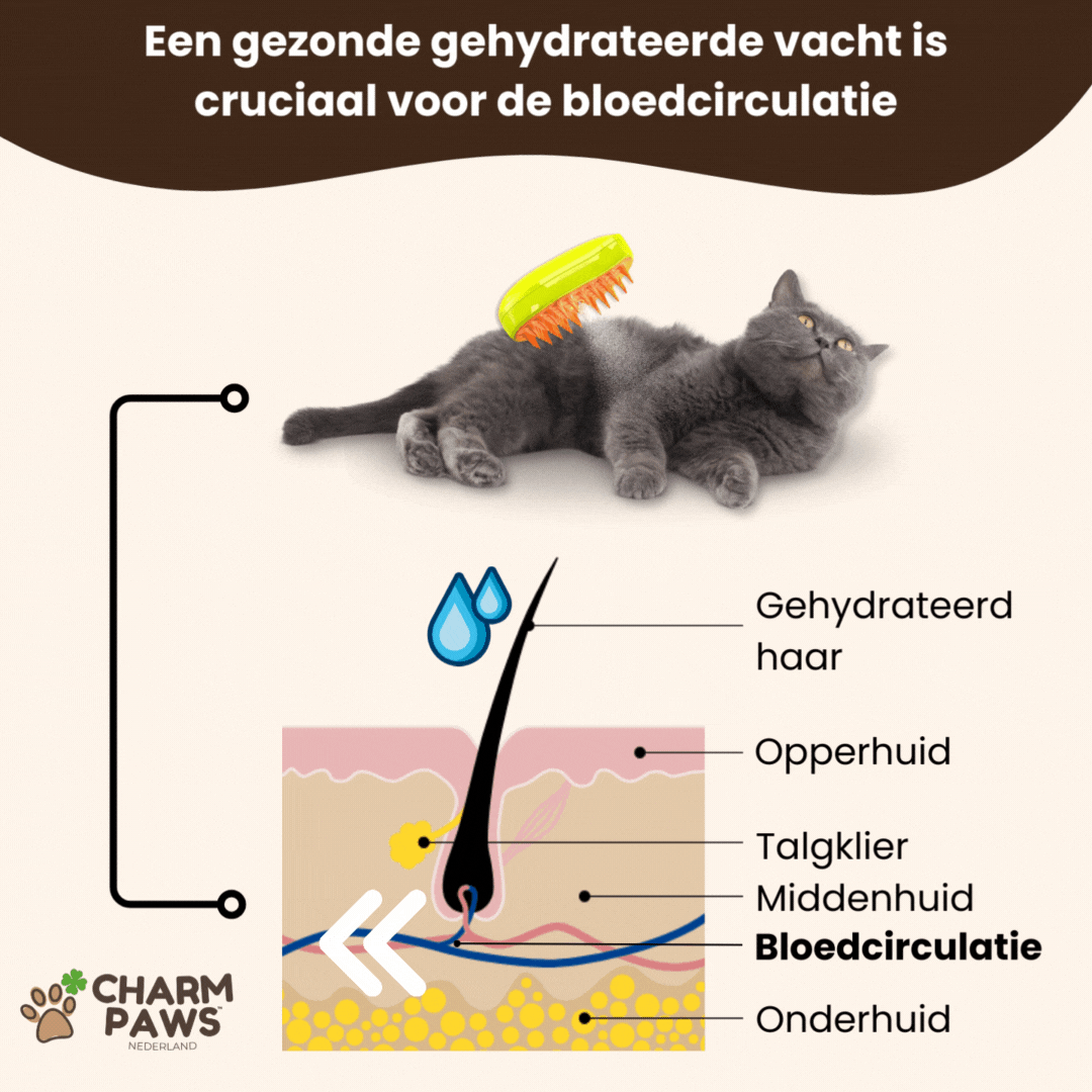 Pootjespret™ Steami Original - Vachtverzorgings Borstel voor Huisdieren