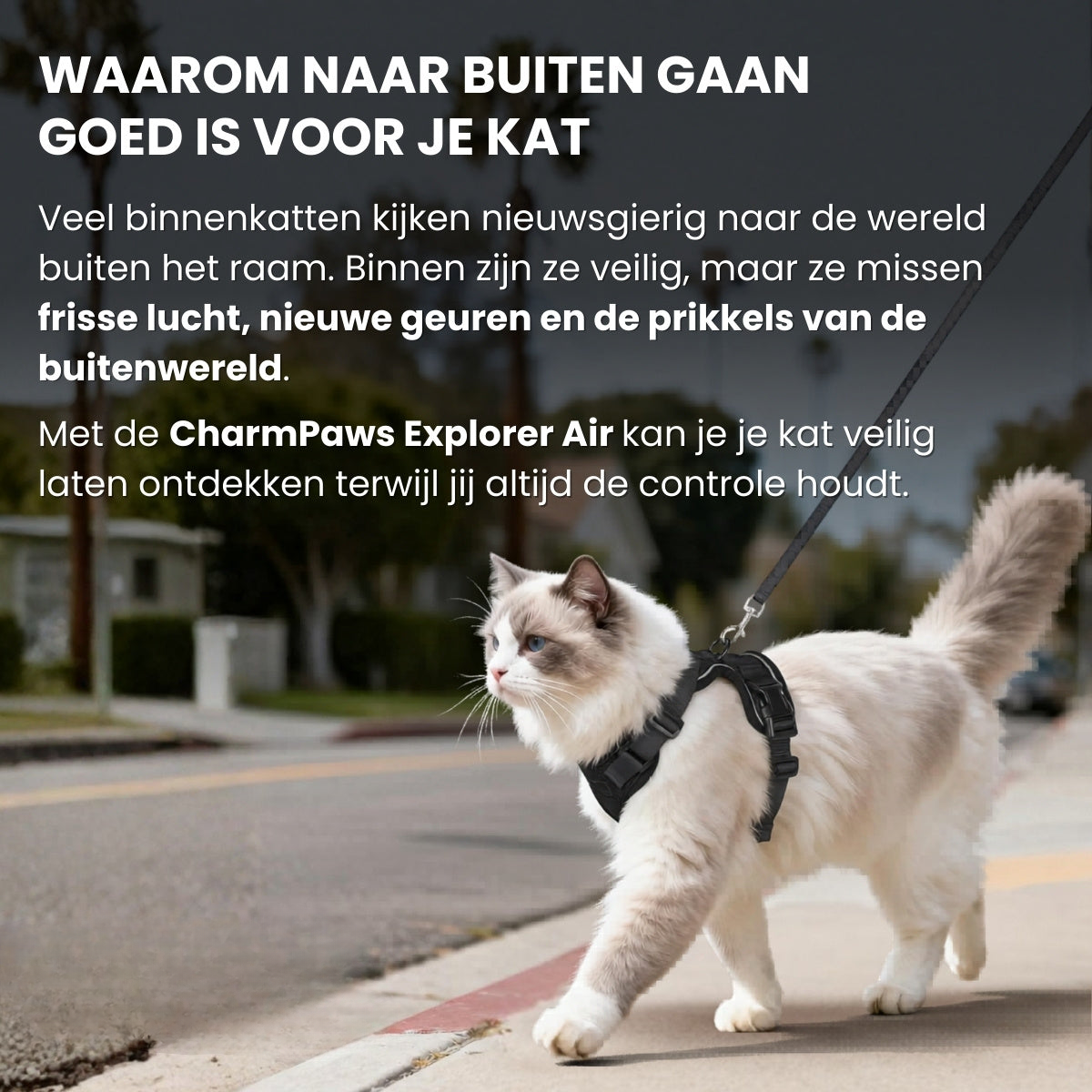Pootjespret™ Explorer Air - Ademend en Verstelbaar Kattenharnas met Looplijn