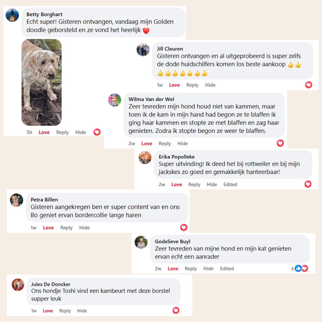Pootjespret™ Steami Pro - Professionele Vachtverzorgings Borstel voor Huisdieren