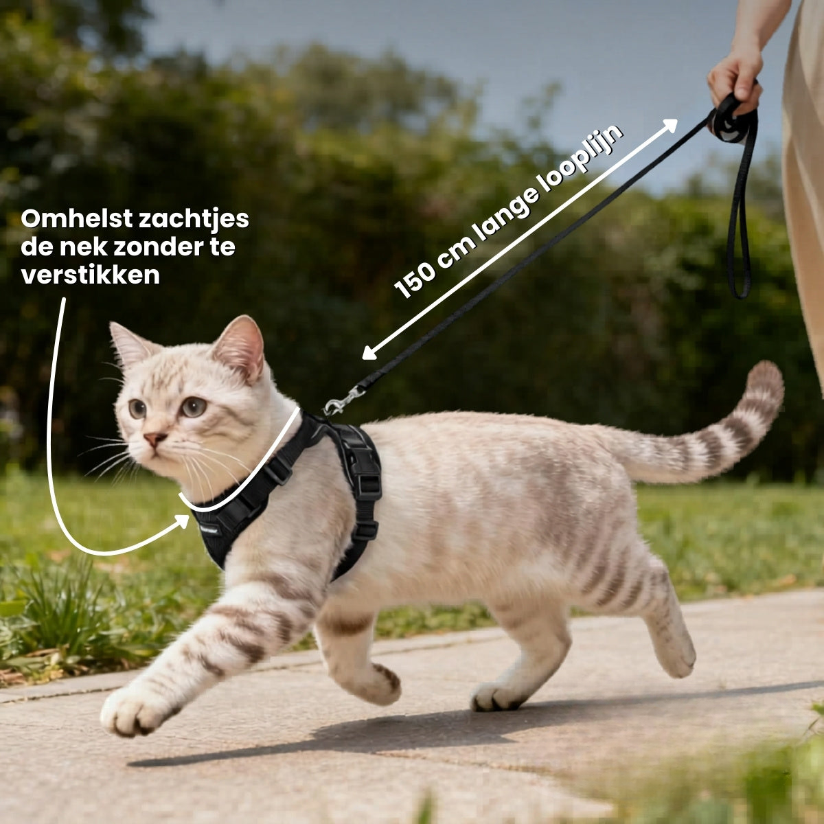 Pootjespret™ Explorer Air - Ademend en Verstelbaar Kattenharnas met Looplijn