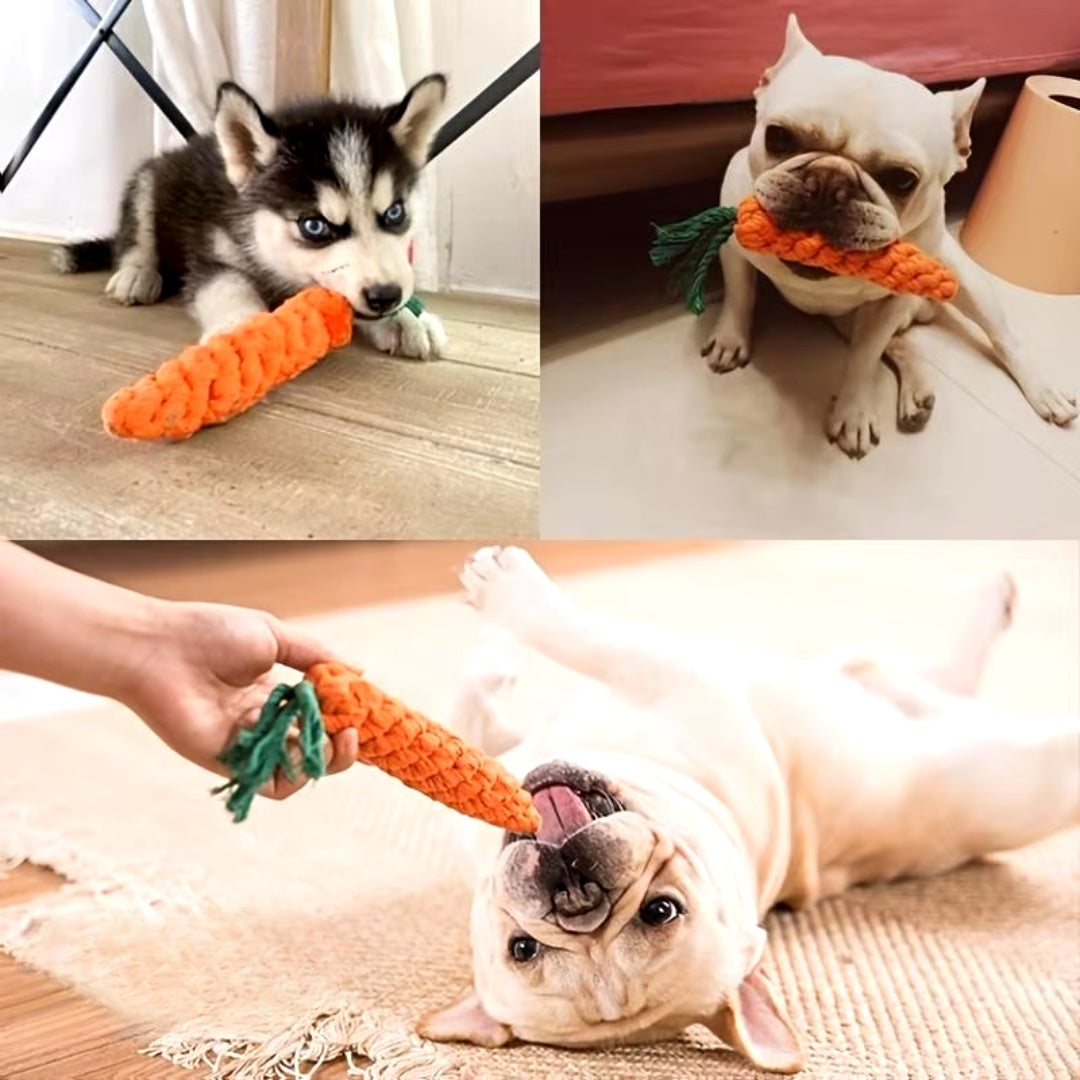 Honden Wortel Kauwstaaf