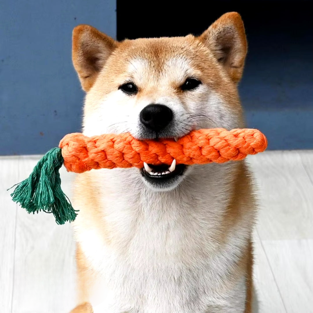 Honden Wortel Kauwstaaf