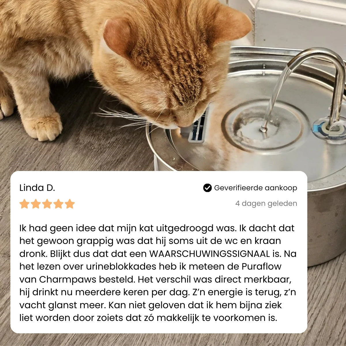 Pootjespret™ PuraFlow Pro - Premium RVS Drinkfontein voor Katten