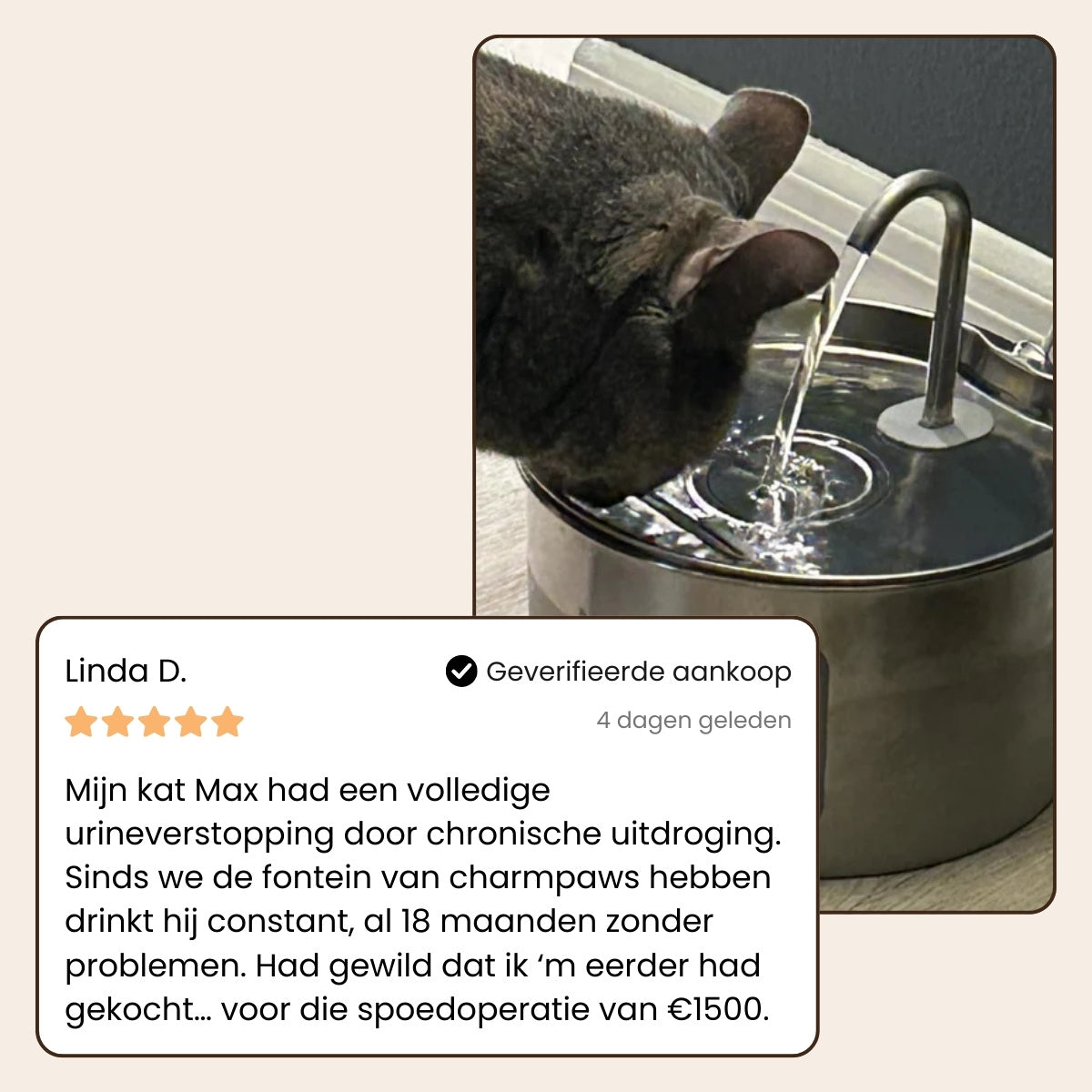 Pootjespret™ PuraFlow Pro - Premium RVS Drinkfontein voor Katten