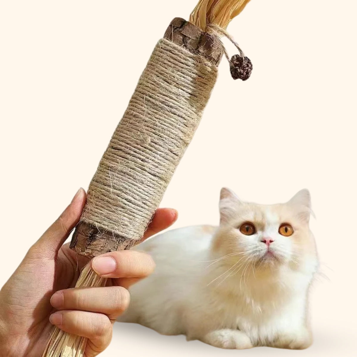 XL Matatabi Kattenkruid Stok
