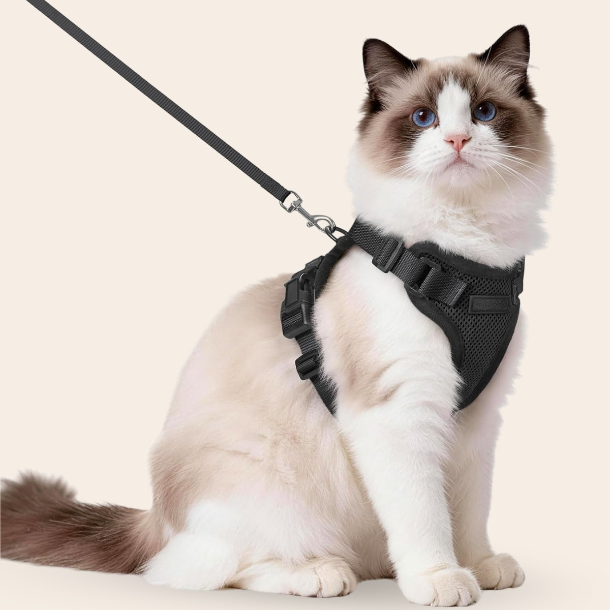 Pootjespret™ Explorer Air - Ademend en Verstelbaar Kattenharnas met Looplijn