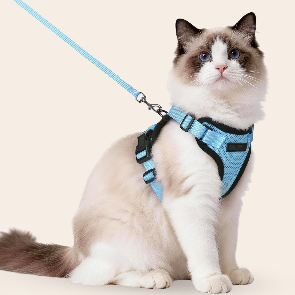 Pootjespret™ Explorer Air - Ademend en Verstelbaar Kattenharnas met Looplijn