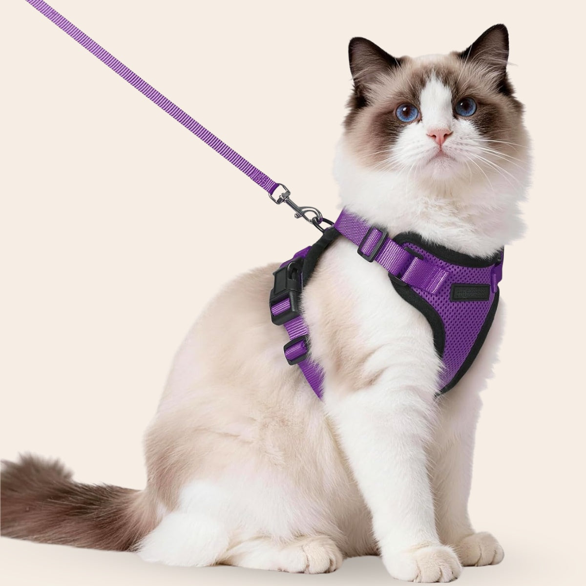 Pootjespret™ Explorer Air - Ademend en Verstelbaar Kattenharnas met Looplijn