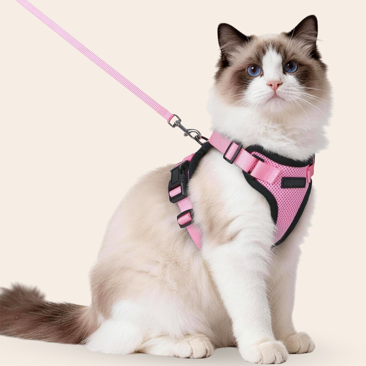 Pootjespret™ Explorer Air - Ademend en Verstelbaar Kattenharnas met Looplijn