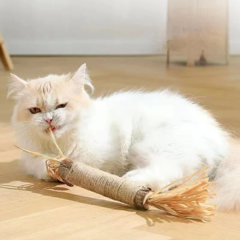 XL Matatabi Kattenkruid Stok
