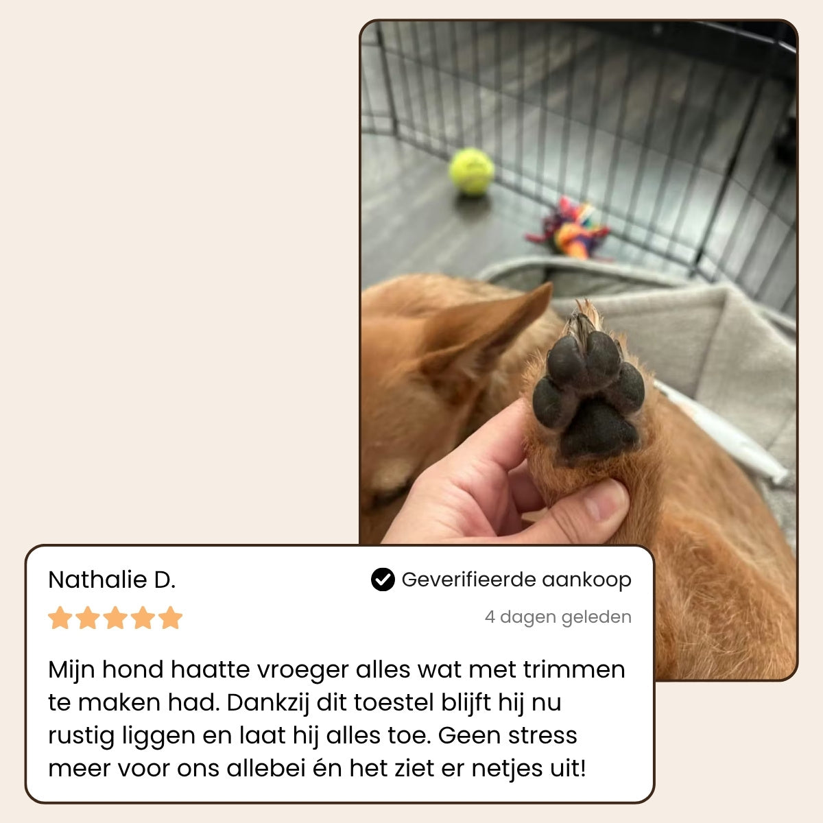 Pootjespret™ PawBlade Pro - Professionele Precisie Trimmer voor Huisdieren