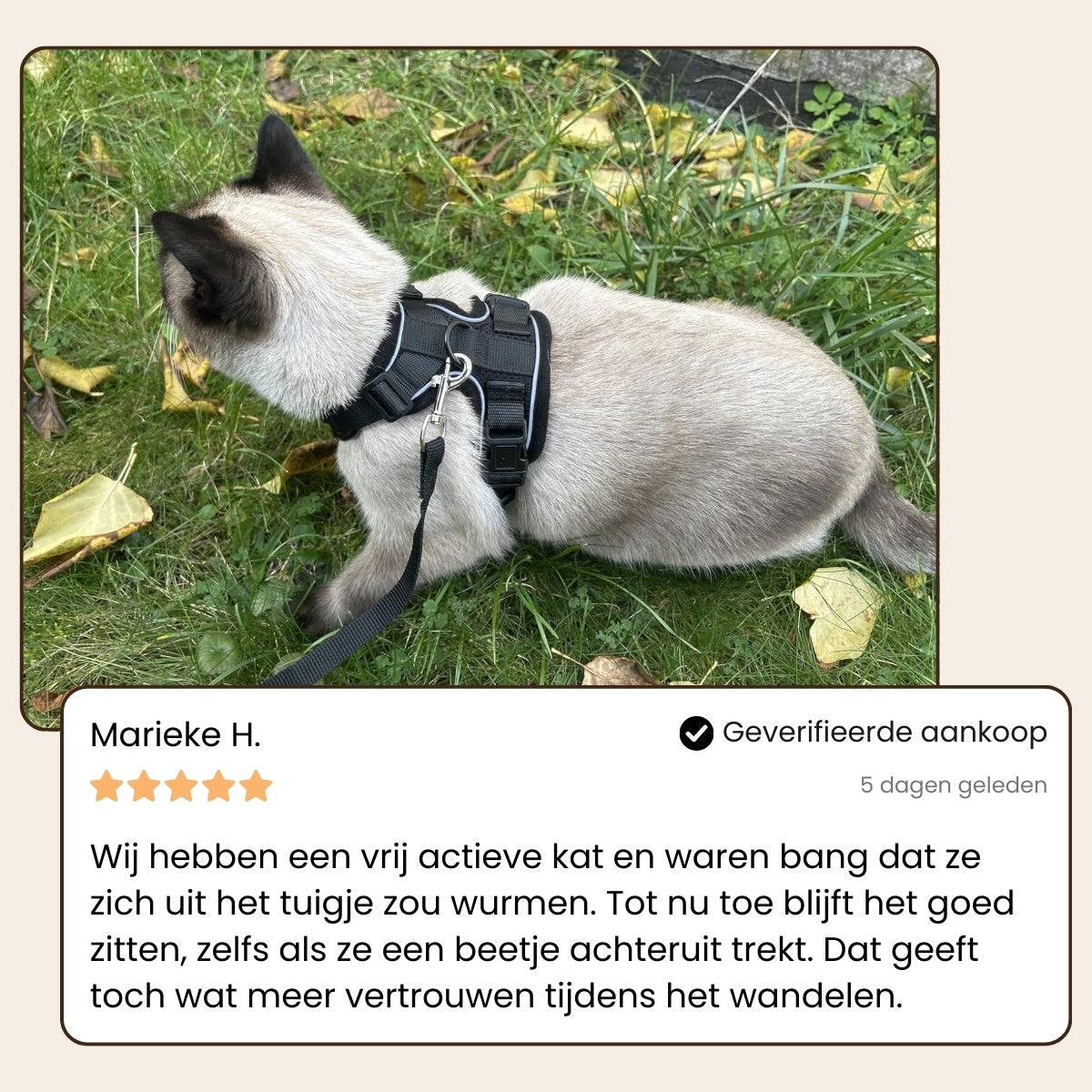 Pootjespret™ Explorer Air - Ademend en Verstelbaar Kattenharnas met Looplijn