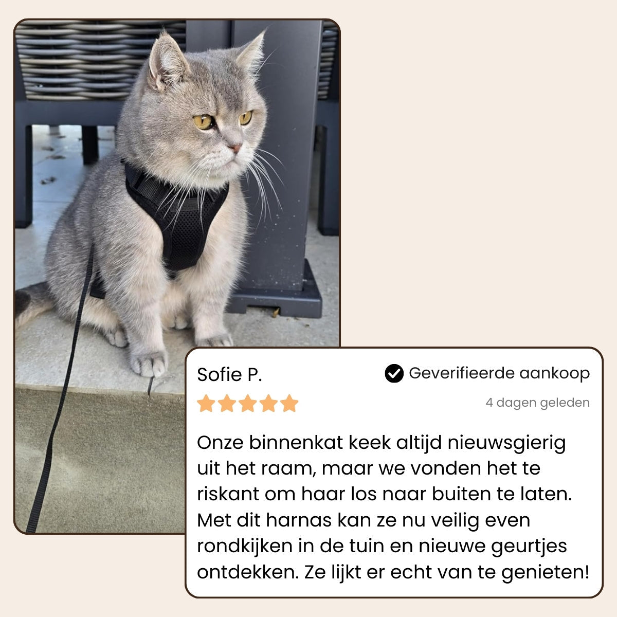 Pootjespret™ Explorer Air - Ademend en Verstelbaar Kattenharnas met Looplijn