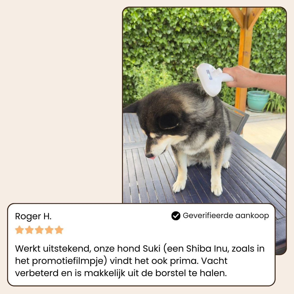 Pootjespret™ Steami Pro - Professionele Vachtverzorgings Borstel voor Huisdieren