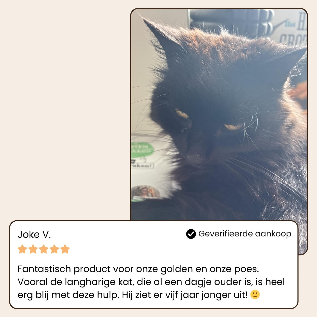 Pootjespret™ Steami Pro - Professionele Vachtverzorgings Borstel voor Huisdieren