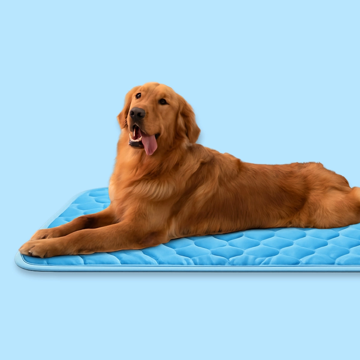 Pootjespret™ IcyNap - Zelfkoelende Ligmat voor Huisdieren