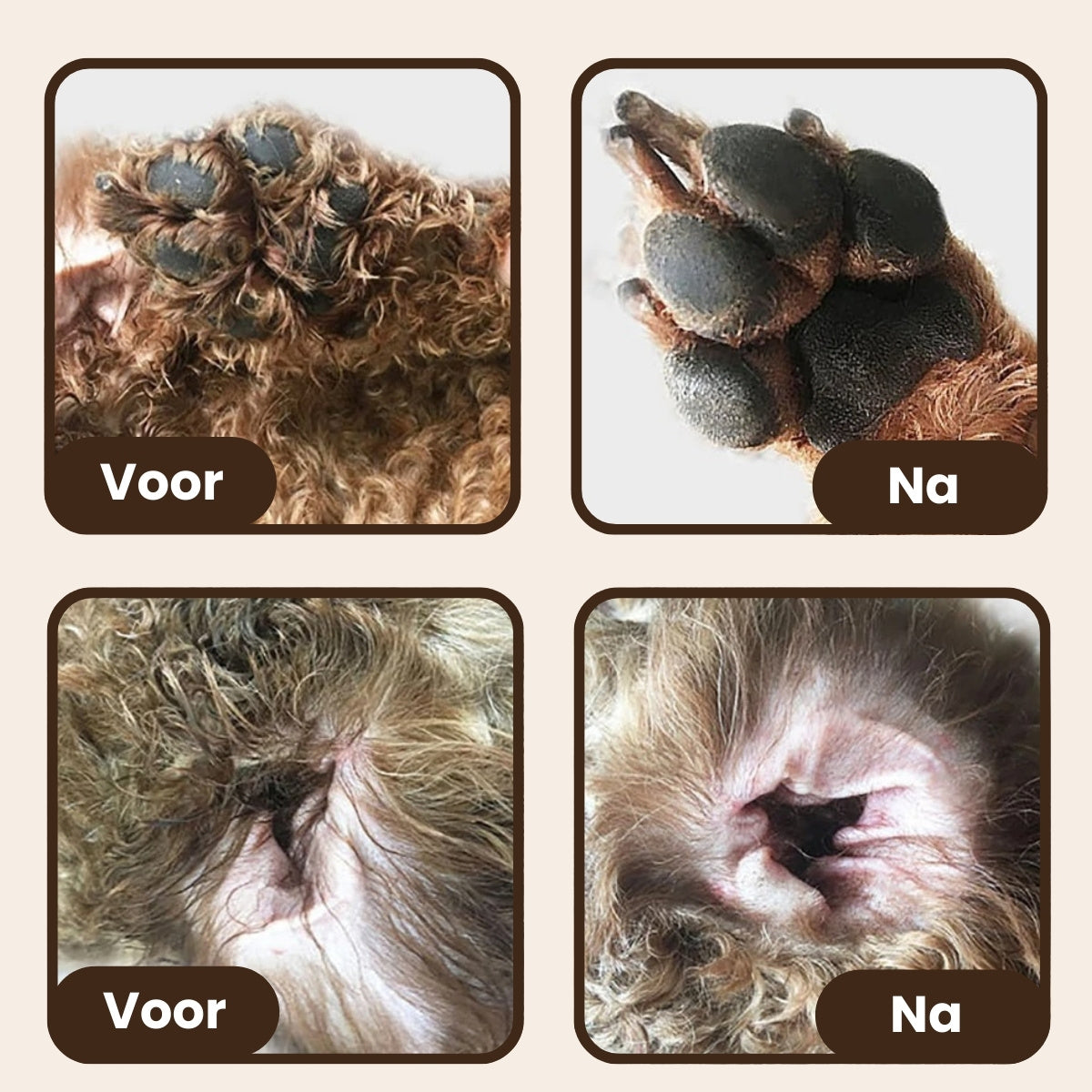 Pootjespret™ Professionele Poot Verzorging Set - Voor Honden & Katten