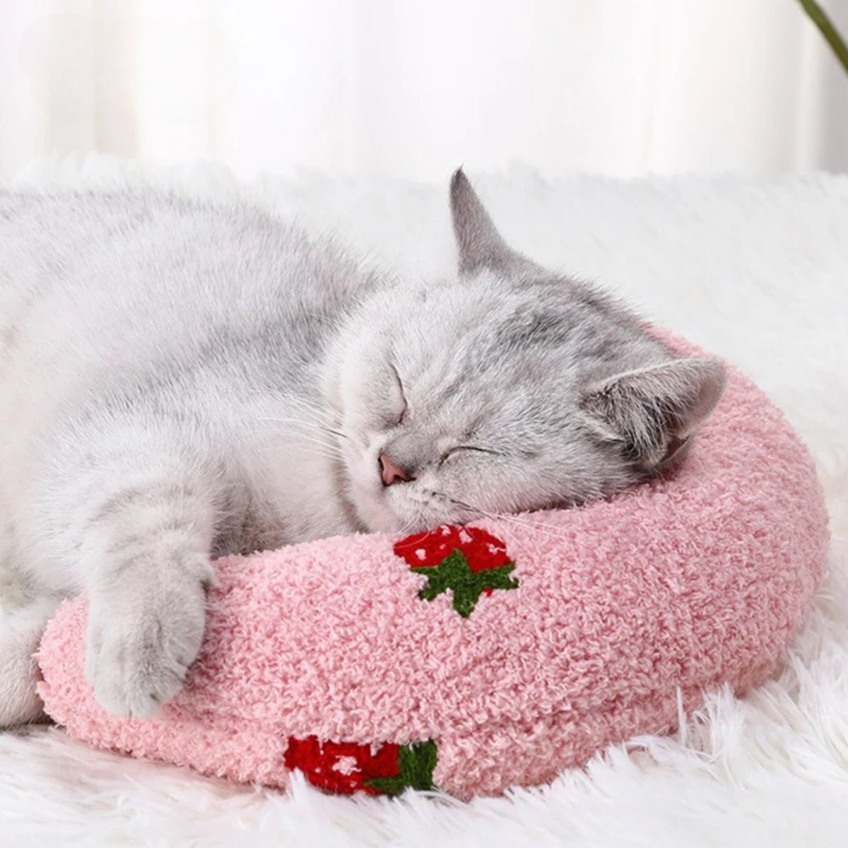 Pootjespret™ Kalmerend Kussen - Voor Katten & Kleine Honden
