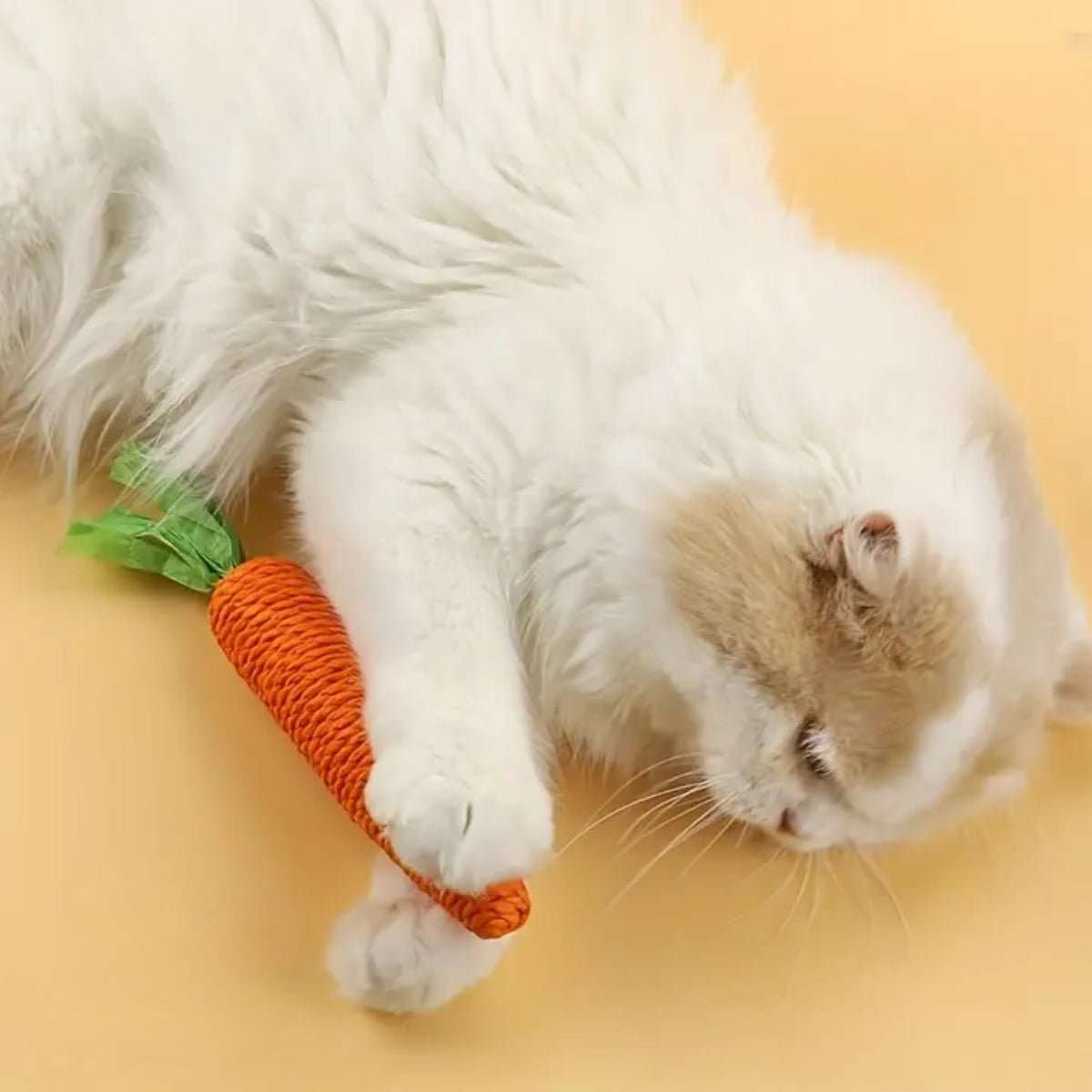 Katten Wortel Kauwstaaf