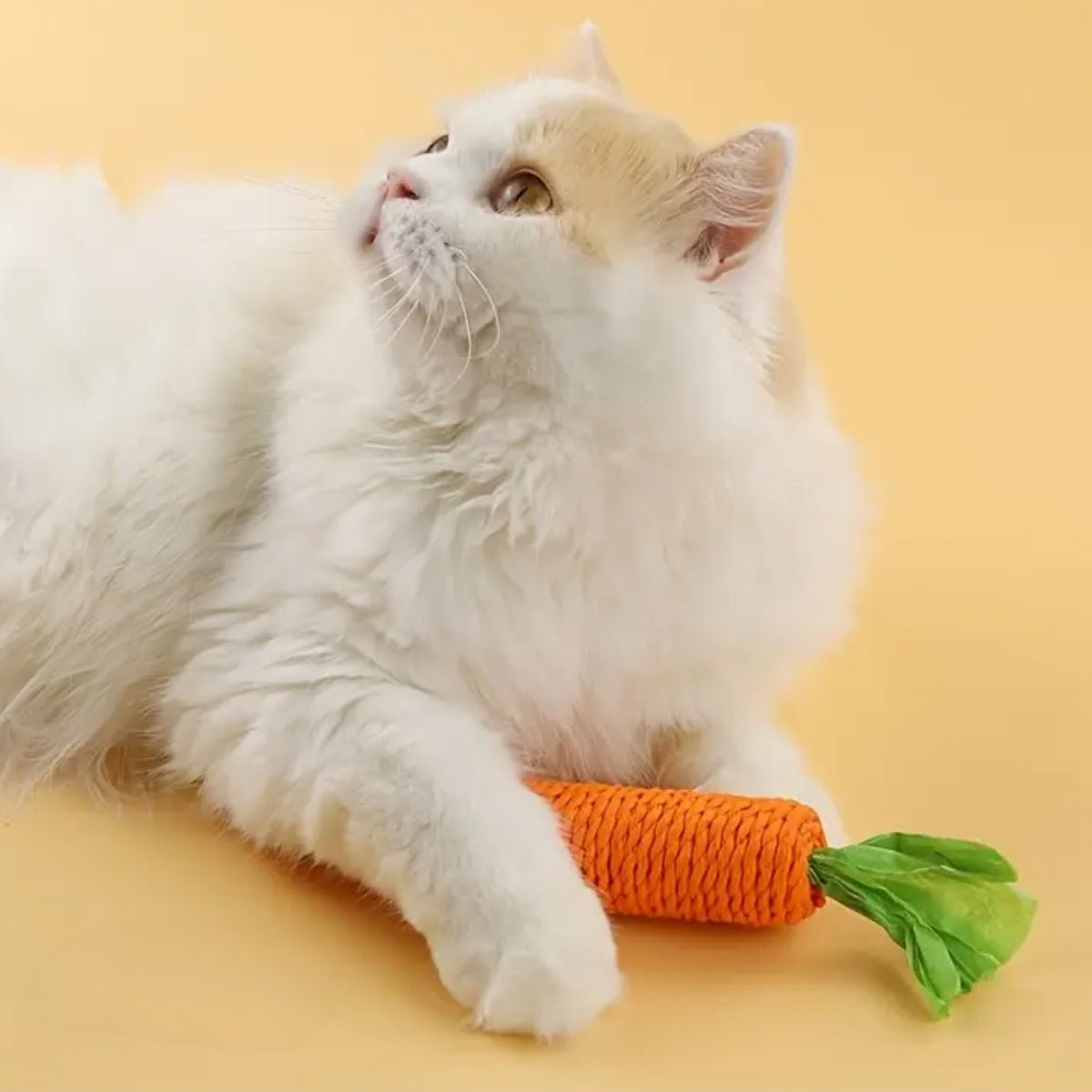 Katten Wortel Kauwstaaf