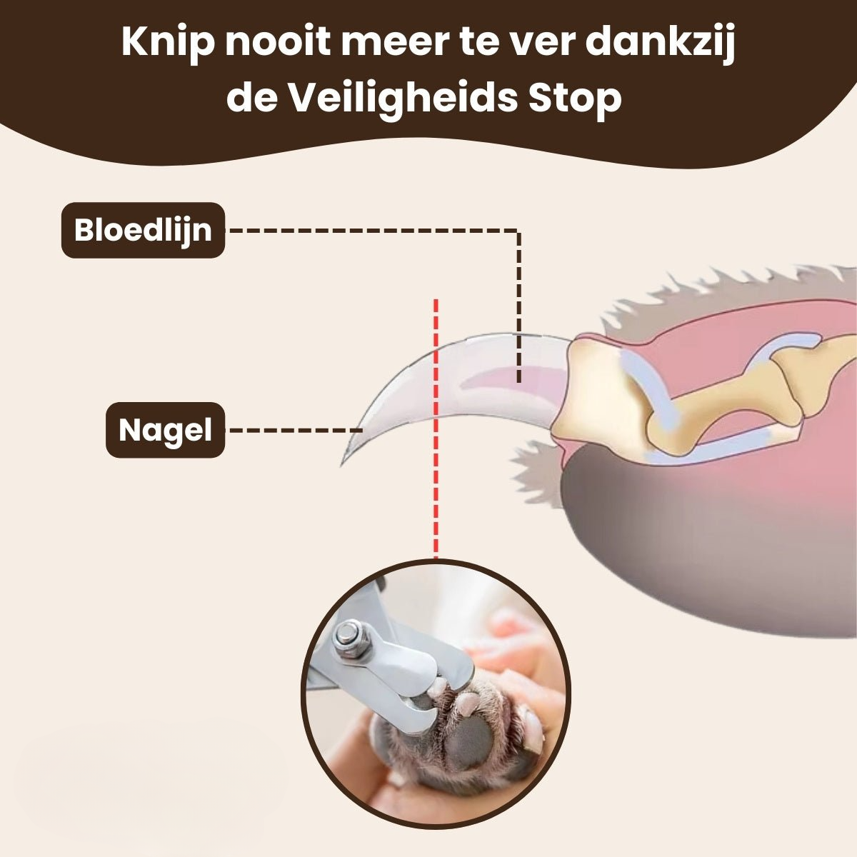 Pootjespret™ Professionele Poot Verzorging Set - Voor Honden & Katten