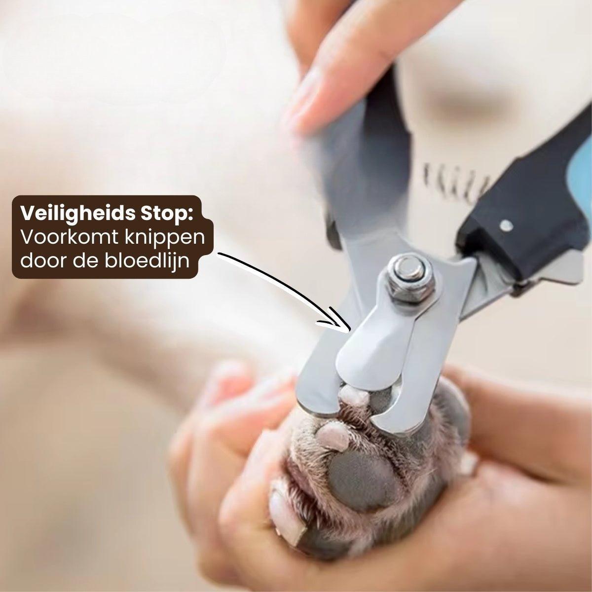 Pootjespret™ Professionele Poot Verzorging Set - Voor Honden & Katten