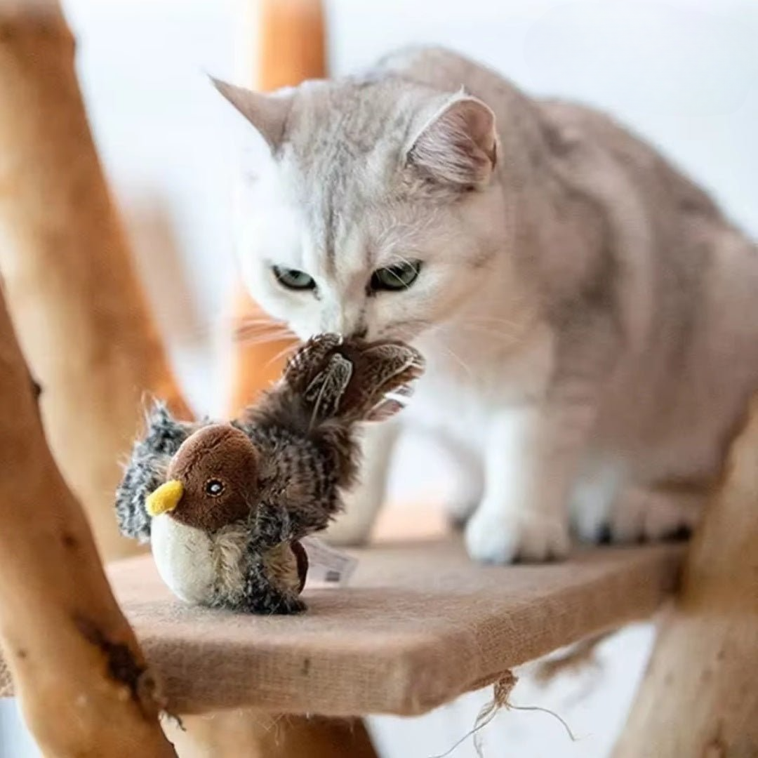 Pootjespret™ Realistische Simulatie Vogel voor Katten - Kleine Mus (Tjilpt)
