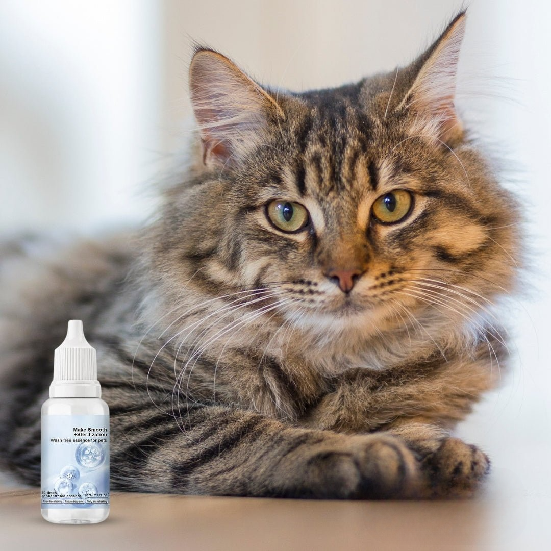 Vacht-Verfrissende Shampoo Druppels - Voor Alle Vachtsoorten