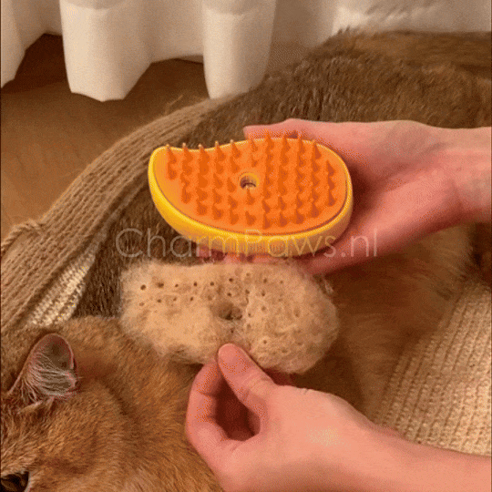 Pootjespret™ Steami Original - Vachtverzorgings Borstel voor Huisdieren