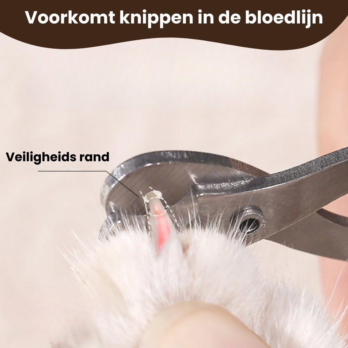 Veilige Nagelschaar