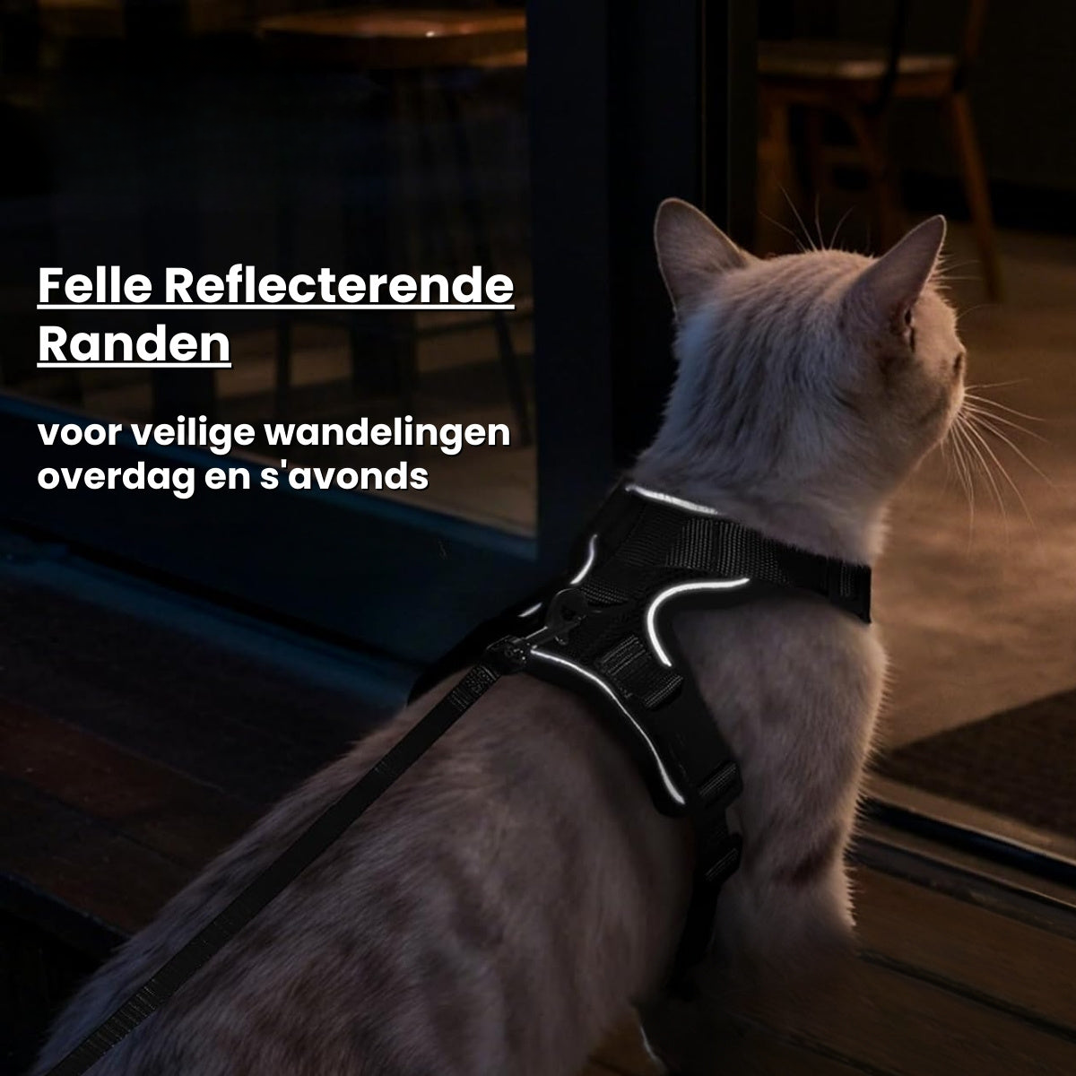 Pootjespret™ Explorer Air - Ademend en Verstelbaar Kattenharnas met Looplijn