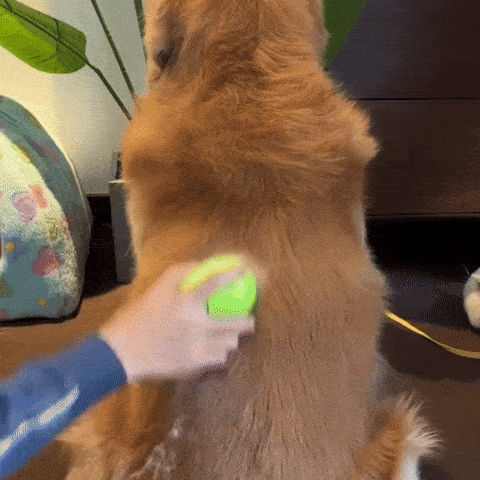 Pootjespret™ Steami Original - Vachtverzorgings Borstel voor Huisdieren