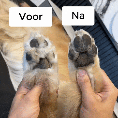 Pootjespret™ PawBlade Pro - Professionele Precisie Trimmer voor Huisdieren